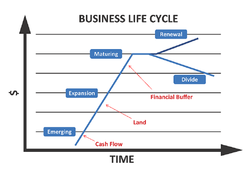 Business Life Cycle, Succession Planning