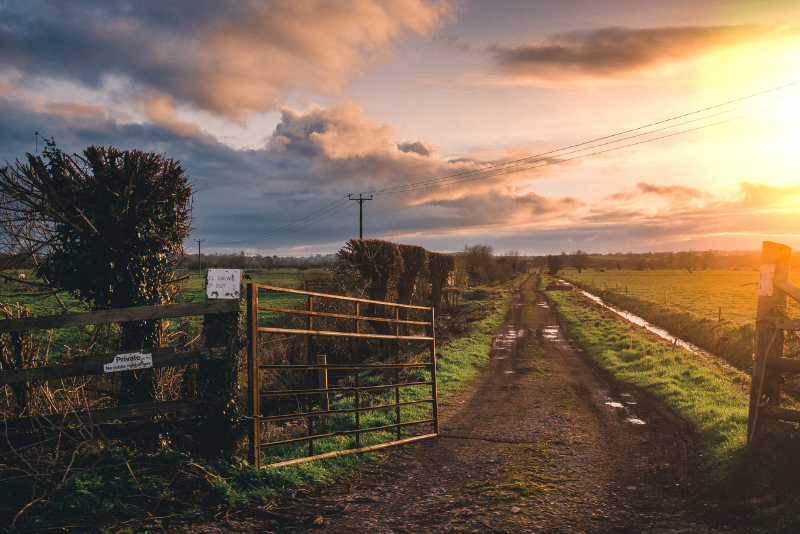 The Great Debate; Drawings or Wages