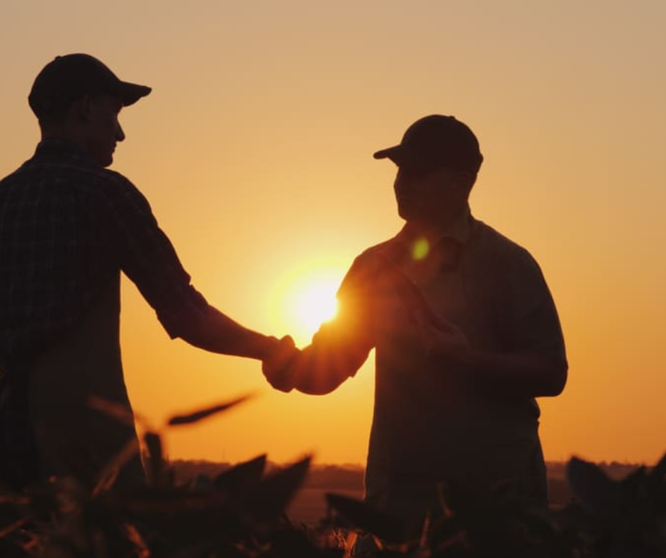 The Succession Standoff