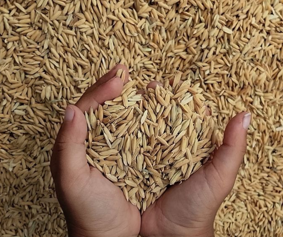 Grain Marketing and the Tax Effect