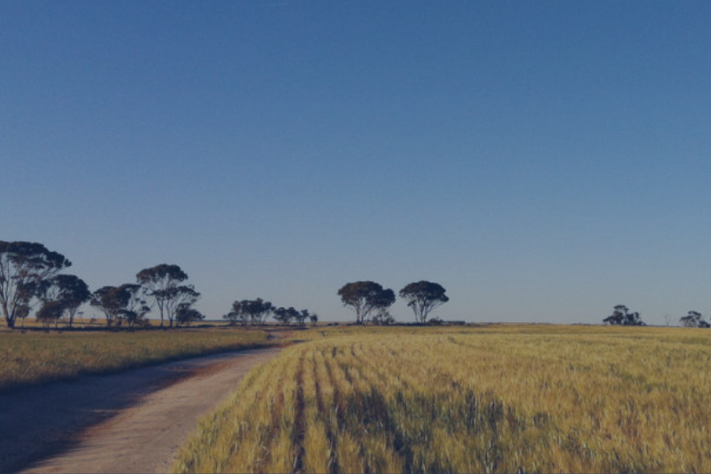 Benefits of being a Primary Producer