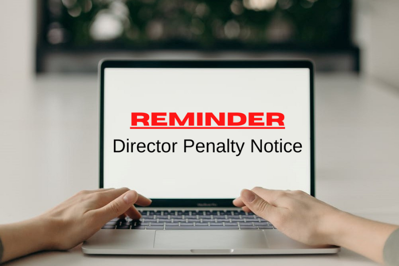 Director Penalty Notices (DPN)