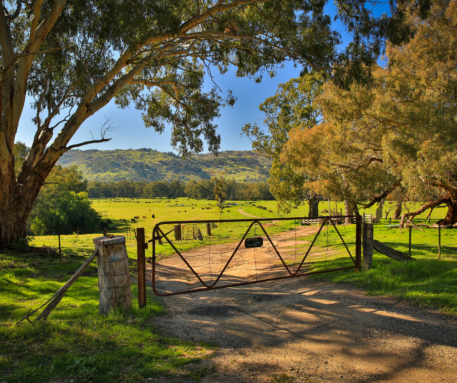 Farm Weekly | Investing Beyond the Farm Gate: What Farmers Need to Know