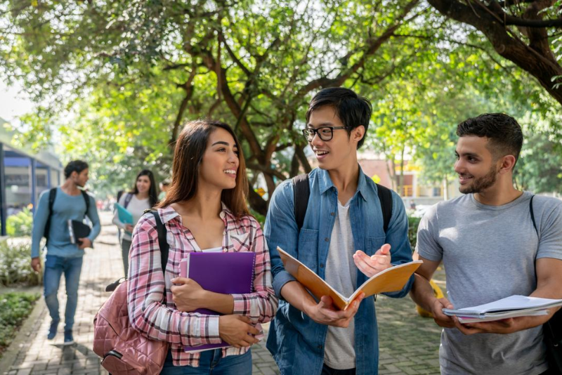 Tertiary Access Payment (TAP)