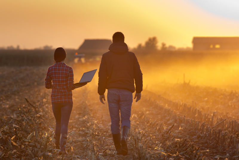 Farmland in a SMSF: Is it too “Gnarly”