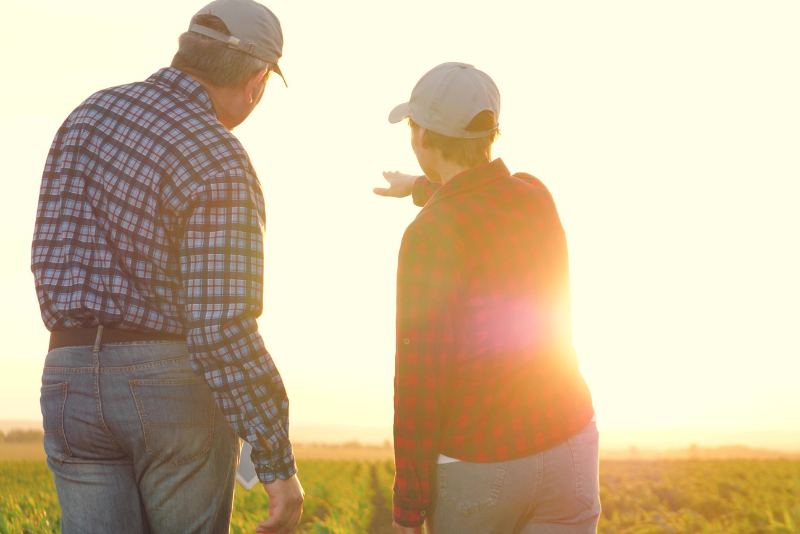 Why has succession planning become harder?