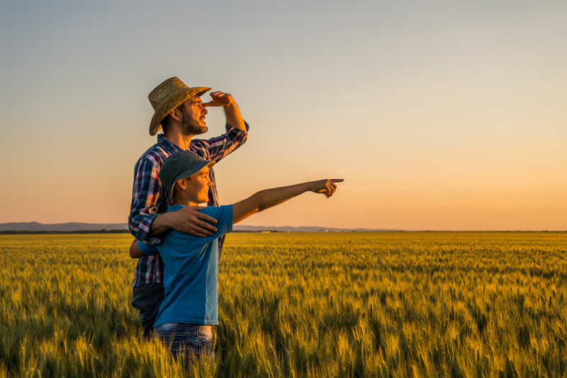 Fools rush in – choose your landholding entity carefully!