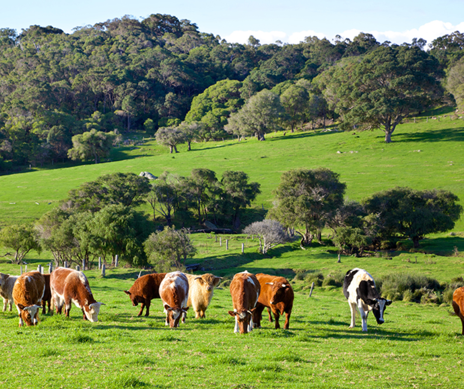 Additional Tax on $3M Super Balances | A Fork in the Road?