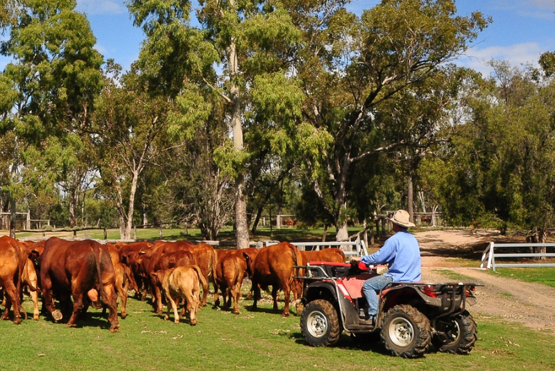 On Farm Accommodation