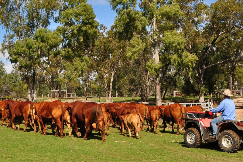 On Farm Accommodation
