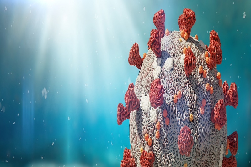 Coronavirus Second Stimulus Package