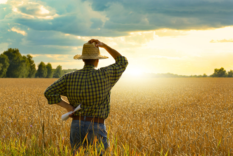 Want Your Farming Business to Continue?