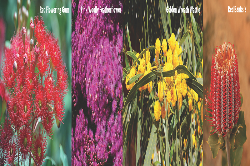 Byfields Newsletter August / September 2019