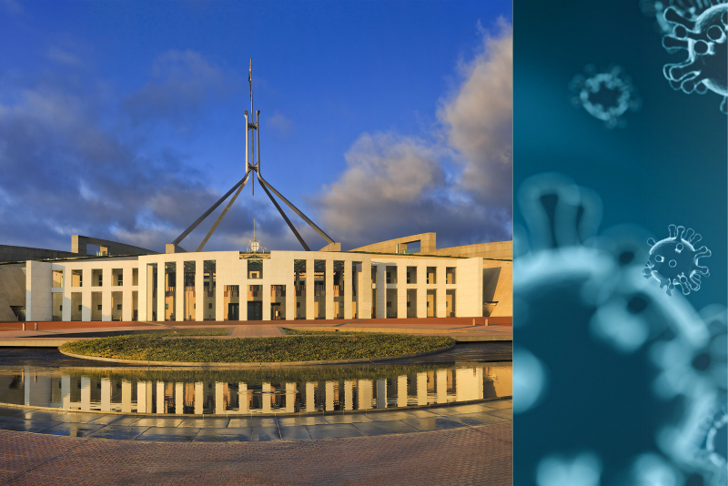 Federal Budget - Too Much of a Good Thing