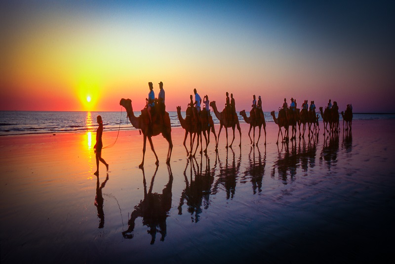 Byfields Newsletter June / July 2020