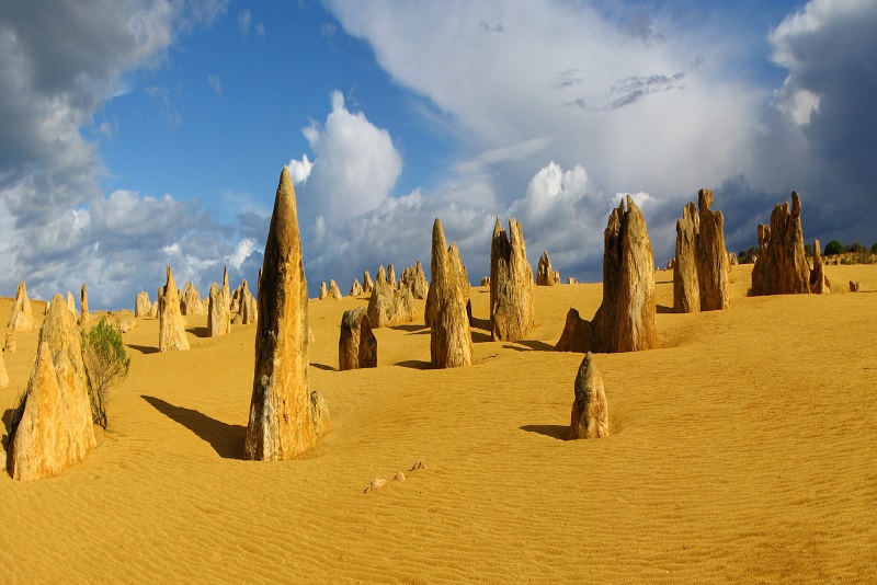 Byfields Newsletter February / March 2019